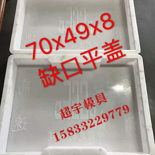 塑料蓋板模具 